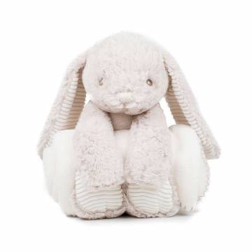 Rabbit And Blanket